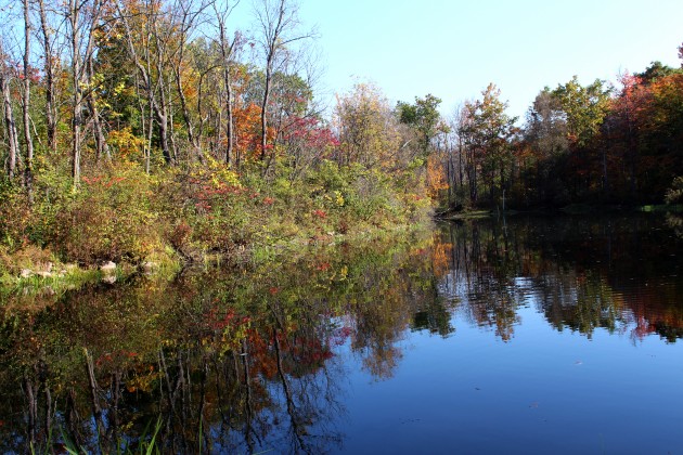 The pond of Red Memorial Park at Townsend Leather