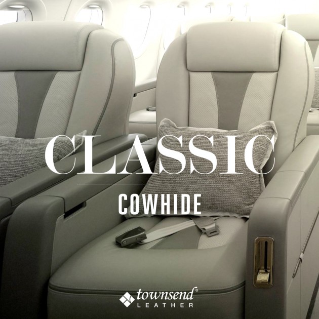 Townsend Leather Classic Cowhide (6)