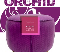 Color Inspiration